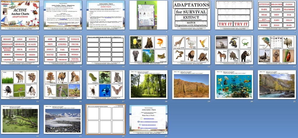 Active Anchor Chart Adaptations - TreeTopSecret Education