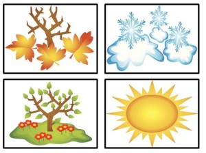 Active Anchor Chart Seasonal Cycle - TreeTopSecret Education